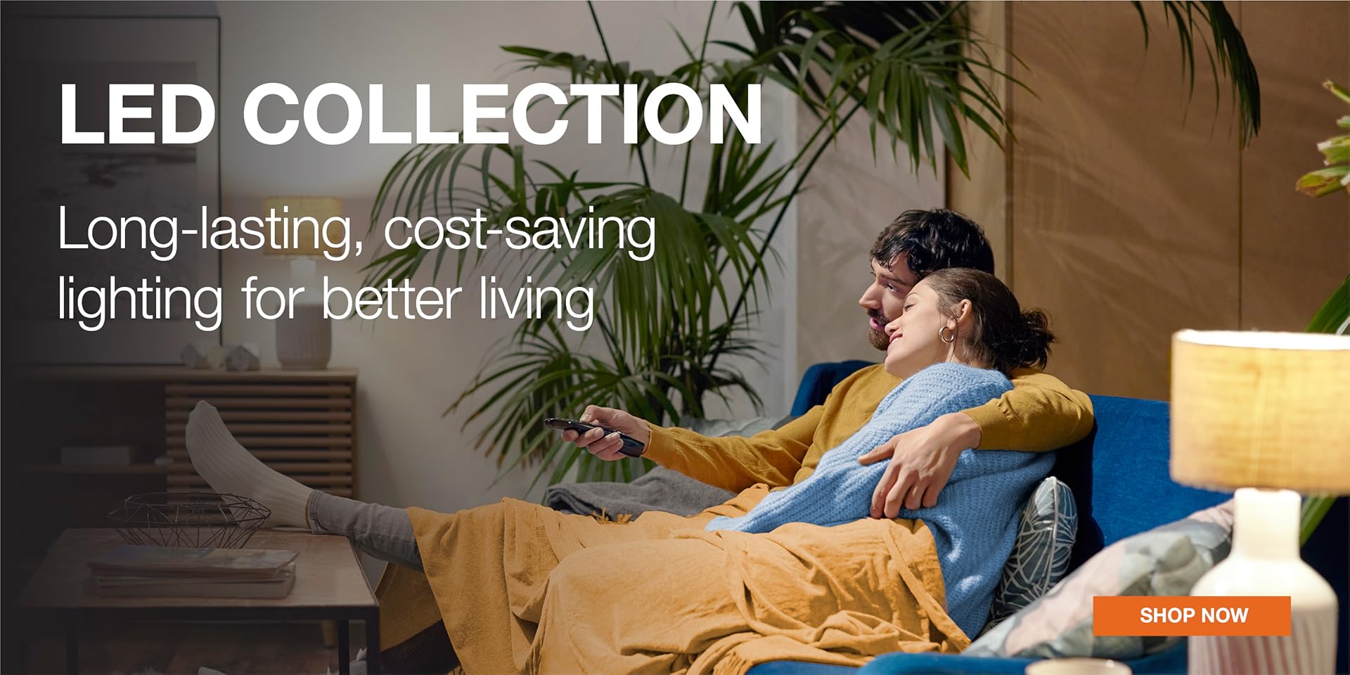 Illuminate Your World with Precision