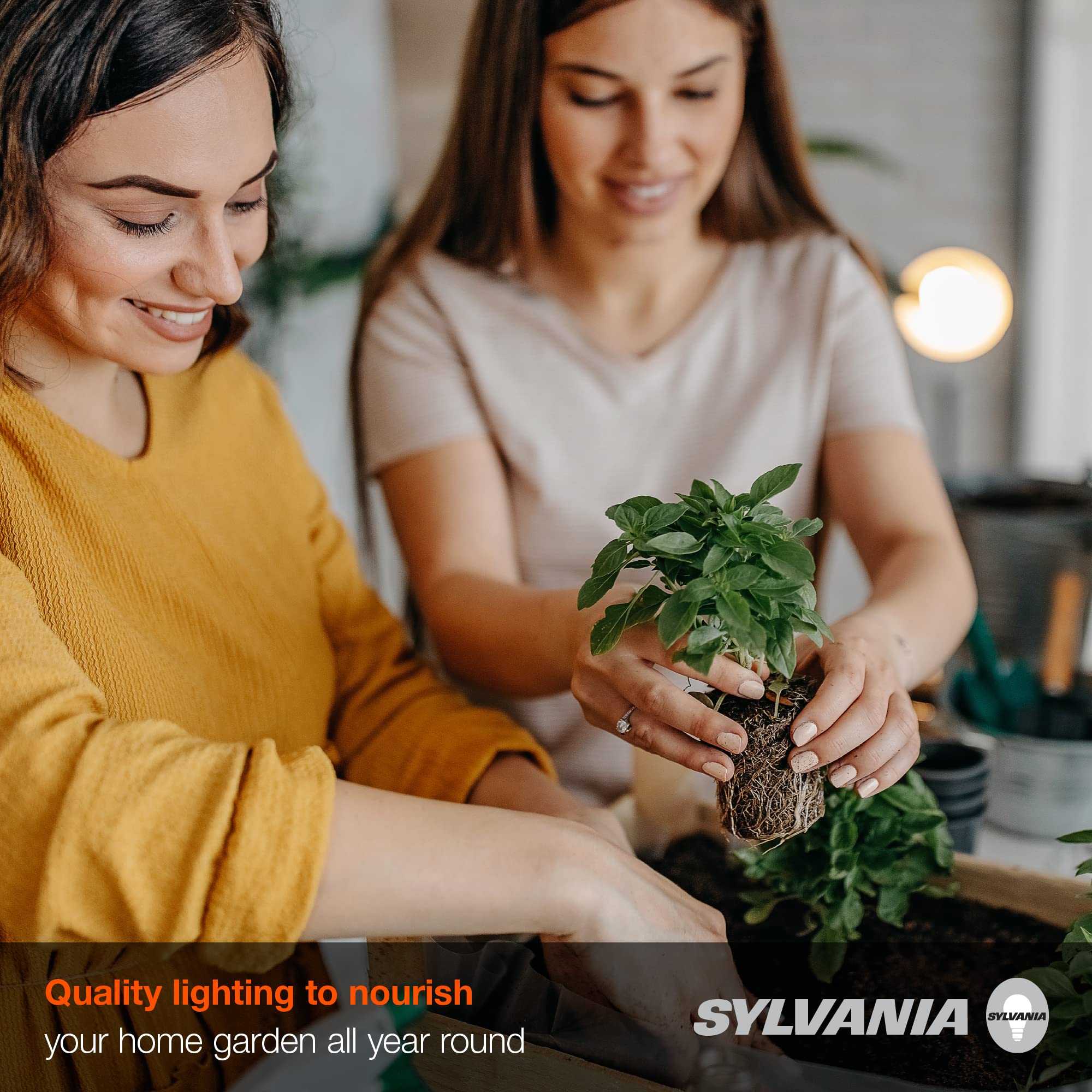 Sylvania Full Cycle 15W LED Grow Light Bulb, A19, 25 Micromoles/s, 80 CRI, Non-Dimmable, Frosted - 1 Pack (40023) - Image 4