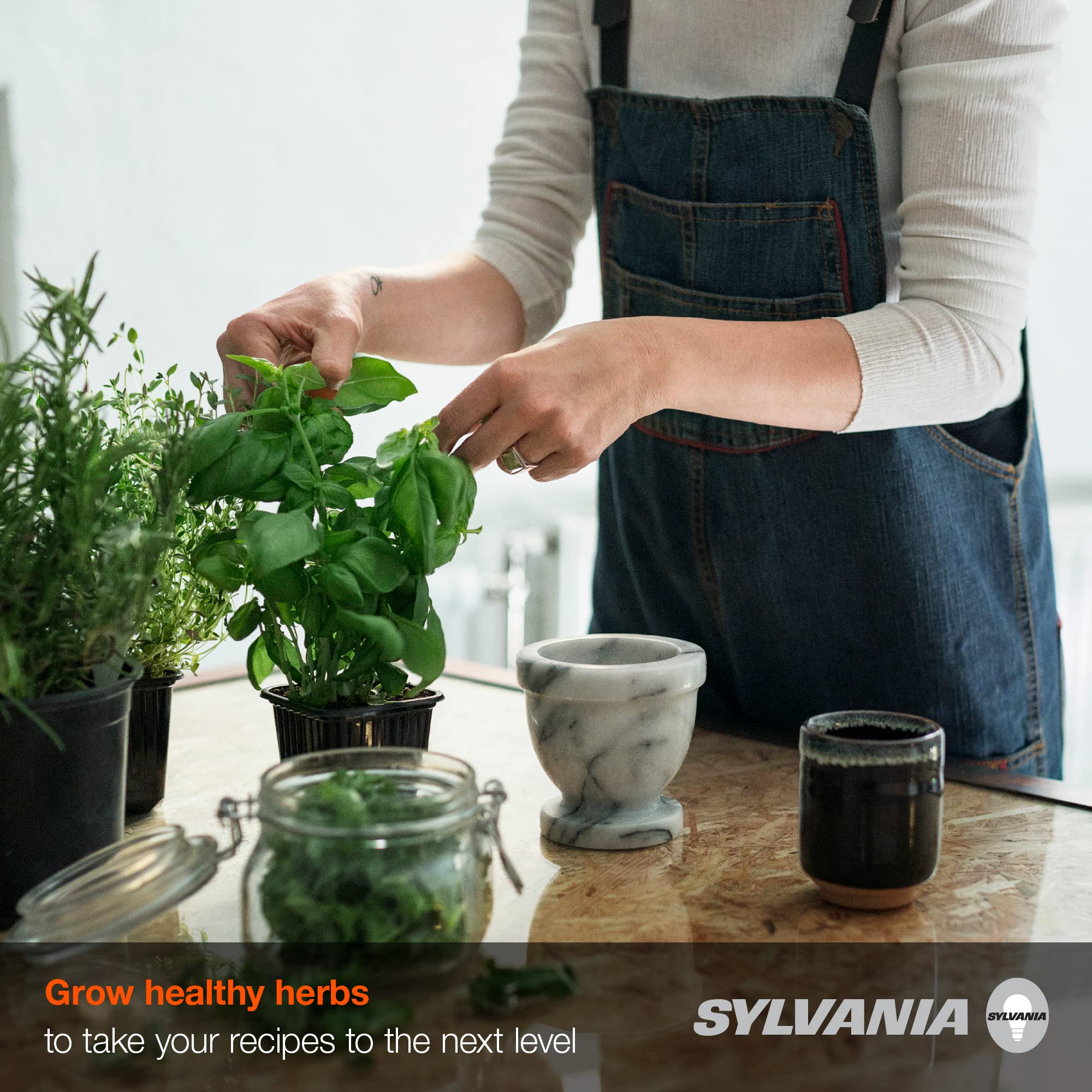 Sylvania Full Cycle 15W LED Grow Light Bulb, A19, 25 Micromoles/s, 80 CRI, Non-Dimmable, Frosted - 1 Pack (40023) - Image 6