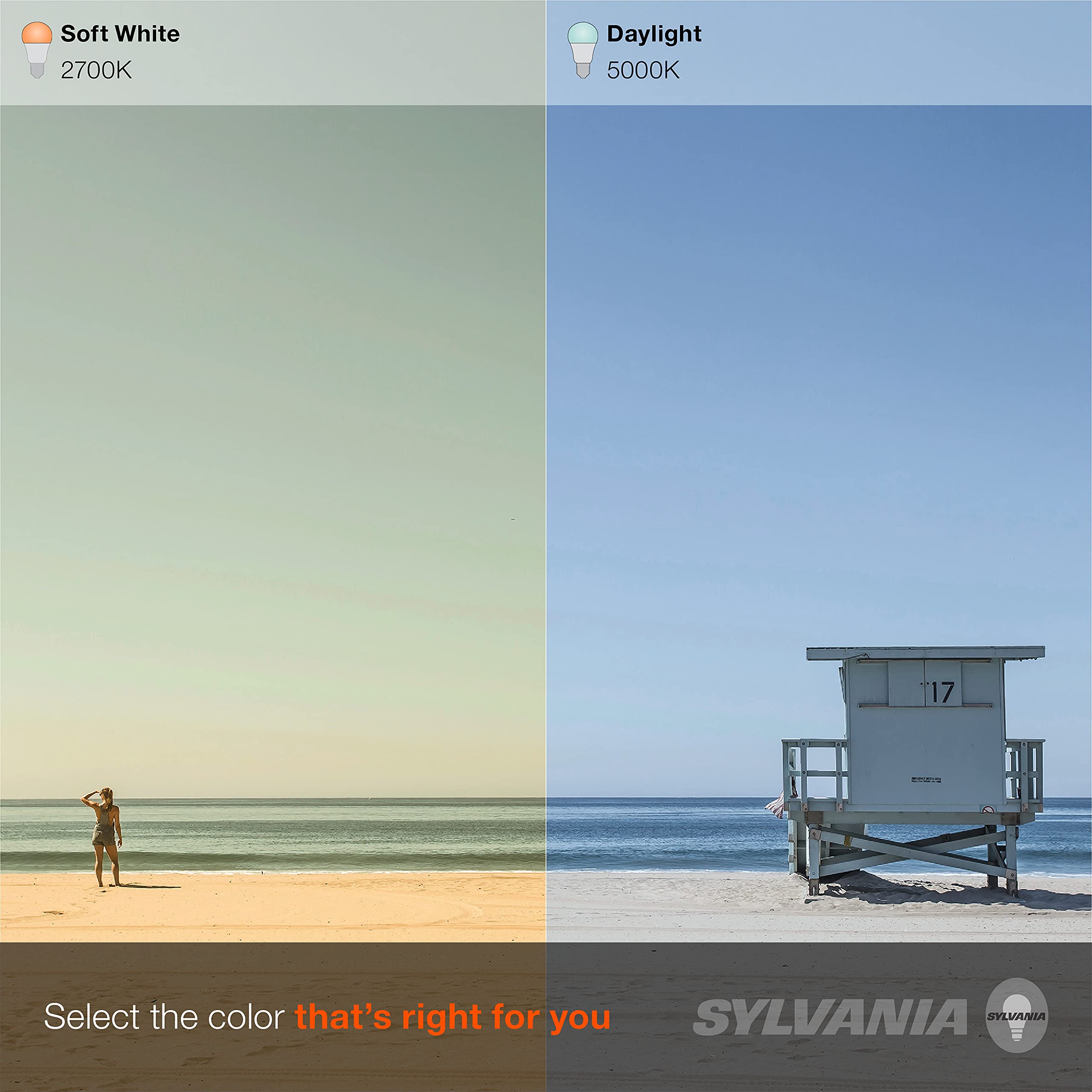 Sylvania LED TruWave Natural Series R20 Light Bulb, 50W Equivalent Efficient 5W, Medium Base, Dimmable Frosted 5000K Daylight, 2 Pack - Image 8